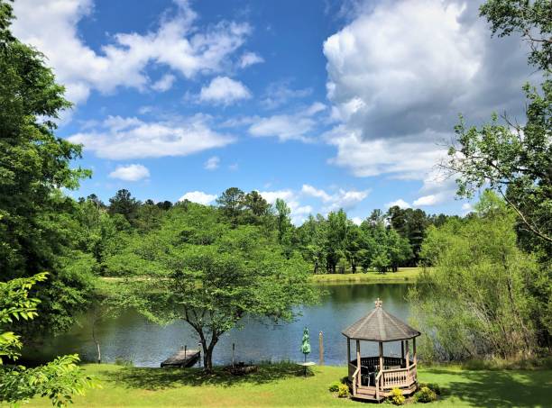 istock View of the beautiful  park 1145903256