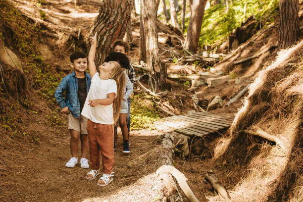 istock Children in the woods 1145906163