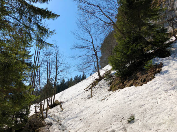 penhasco de äscher ou äscher-felsen (aescher-felsen ou ascher-felsen) na escala de montanha de alpstein e na região de appenzellerland - ascher - fotografias e filmes do acervo