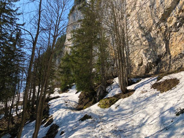 penhasco de äscher ou äscher-felsen (aescher-felsen ou ascher-felsen) na escala de montanha de alpstein e na região de appenzellerland - ascher - fotografias e filmes do acervo