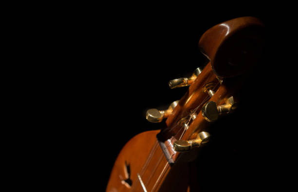 10+ Dulcémele De Los Apalaches Fotos Fotografías de stock, fotos e