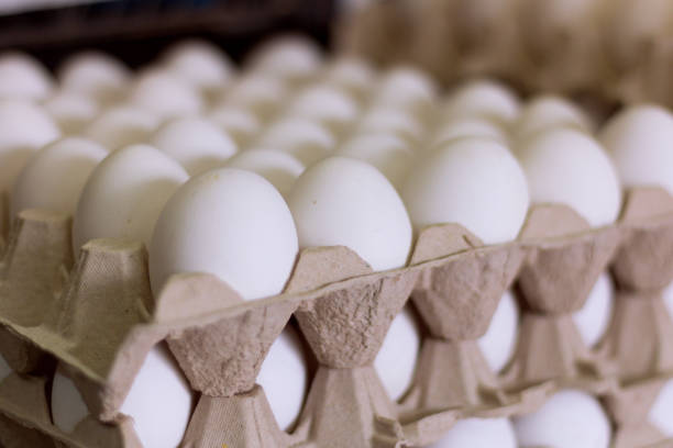 istock A carton of fresh white eggs 1145913407