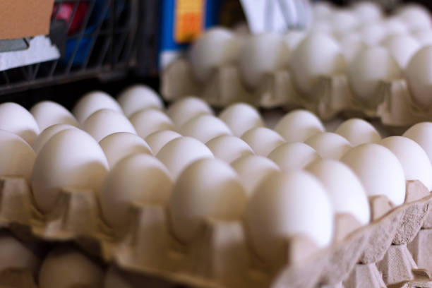 istock A carton of fresh white eggs 1145913423