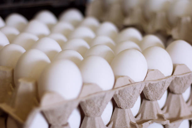 istock A carton of fresh white eggs 1145913570