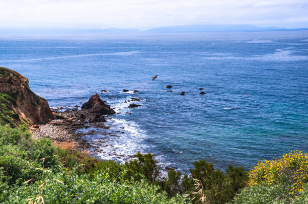 istock Santa Catalina Island. 1145913710