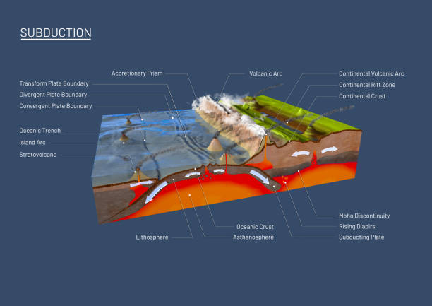 3d illustration of a scientific ground cross-section to explain subduction and plate tectonics with labels - plate tectonics imagens e fotografias de stock