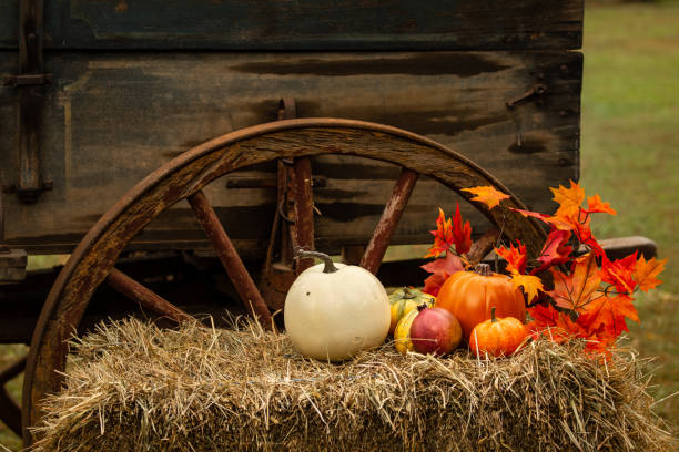 istock Autumn Holiday Decoration 1145915975