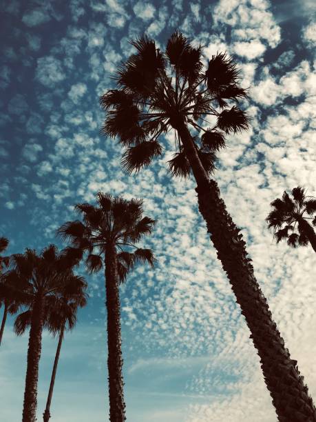 istock Beach view Santa Barbara, California. Visiting Santa Barbara. 1145915977