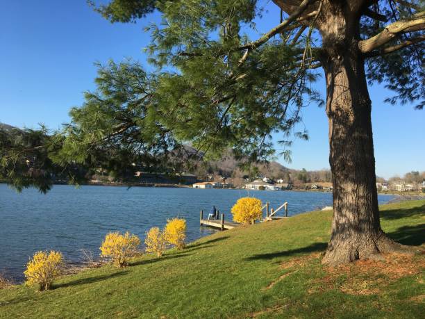 istock Fishing at the lake on a spring day 1145917467
