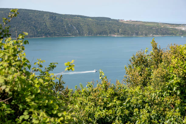 istock ships passing through the Bosphorus in İstanbul 1145917605