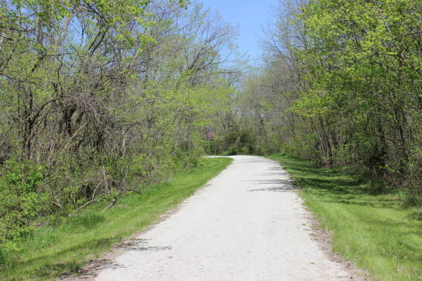 istock Little Blue Trace Trail, Jackson County, Missouri on Sunny Spring Day 1145917745