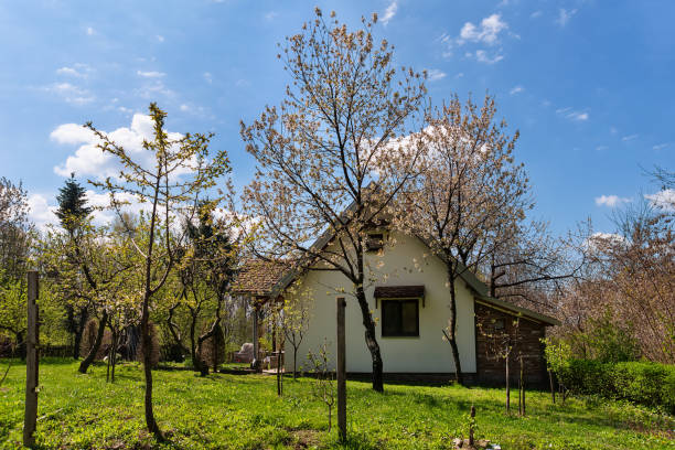 Russian Izba dacha back yard garden at springtime, colorful flowers and trees landscaped – Ancient Suzdal typical idyllic russian village, cityscape panorama, Vladimir oblast, Golden Ring, Russia