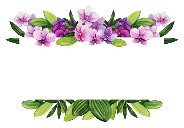istock Frame with Watercolor Orchid Flowers and Leaves 1145918267