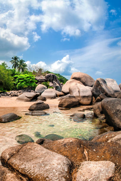 istock Idyllic tropical beach, palm, white sand and crystal clear water 1145921540