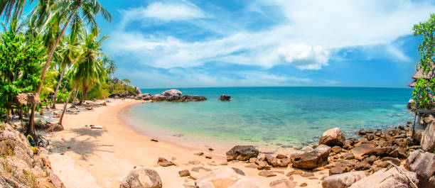 istock Idyllic tropical beach, palm, white sand and crystal clear water 1145922850