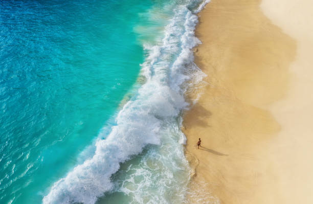 istock Beach as a background from top view. Waves and azure water as a background. Summer seascape from air. Bali island, Indonesia. Travel - image 1145925909