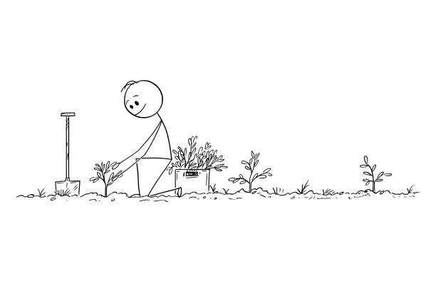Cartoon of Man Planting a Small Trees, Creating Forest for Future, Nature, Environmental and Ecology Concept Cartoon stick figure drawing conceptual illustration of man planting small trees as forest for future, nature, environmental and ecology concept. farmer drawings stock illustrations