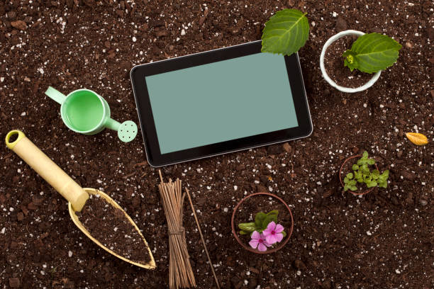 istock hobby gardening hands with flower pot 1145931098