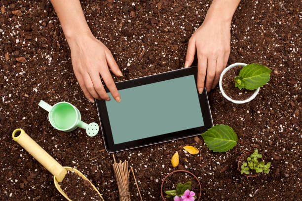 istock hobby gardening hands with flower pot 1145931120