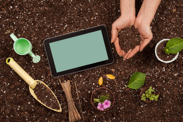 istock hobby gardening hands with flower pot 1145931196