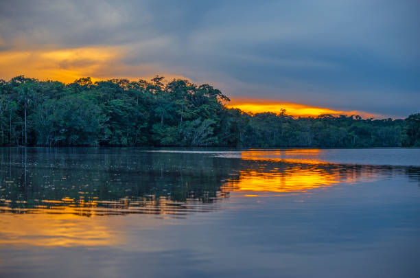 istock Yasuni National Park Sunset, Ecuador 1145936161