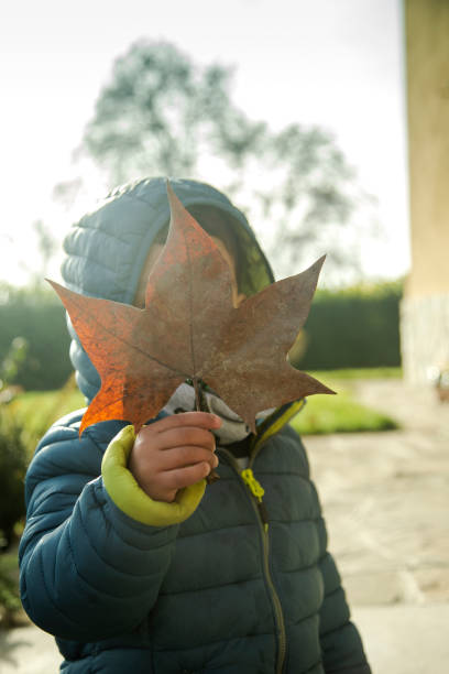 Child covering his face with a leaf