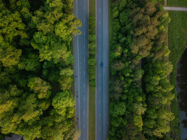 istock Aerial of Highway through Forest in the Spring 1145939535