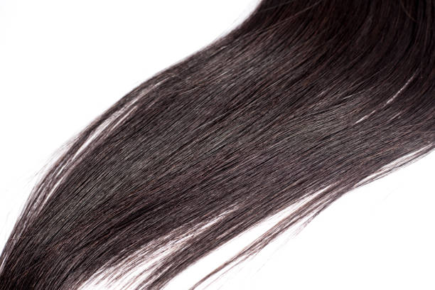 istock Black Hair Isolated on White 1145942664