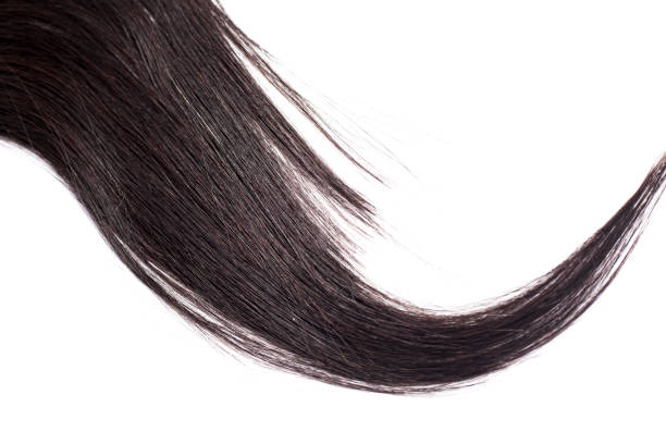 istock Black Hair Isolated on White 1145942673