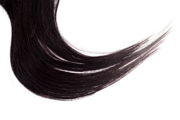 istock Black Hair Isolated on White 1145942775
