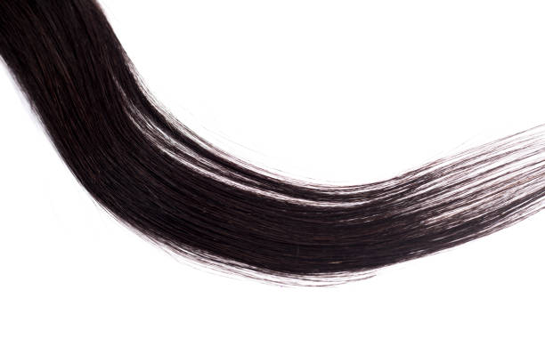 istock Black Hair Isolated on White 1145942800