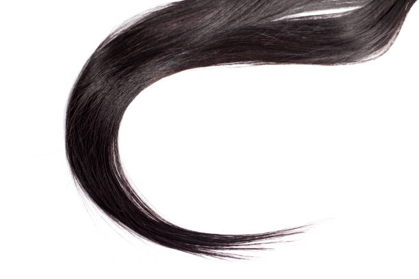 istock Black Hair Isolated on White 1145942804