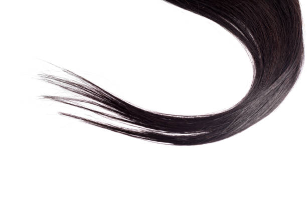 istock Black Hair Isolated on White 1145942830