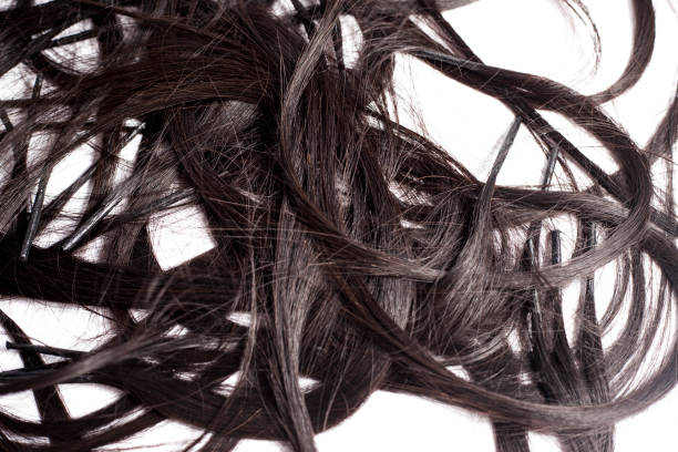 istock Black Hair Isolated on White 1145943566