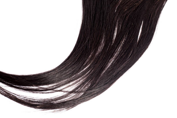 istock Black Hair Isolated on White 1145943618