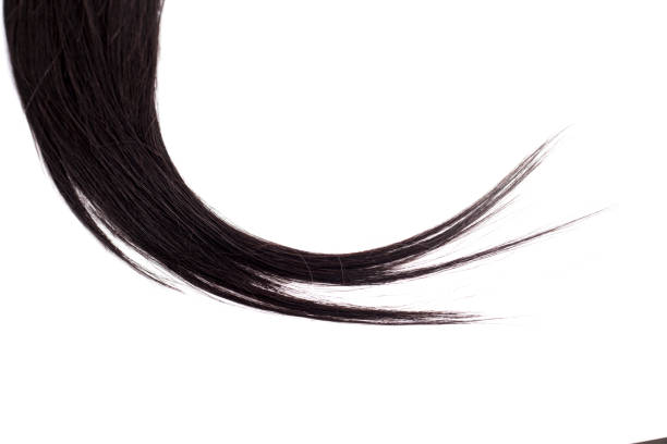 istock Black Hair Isolated on White 1145943707
