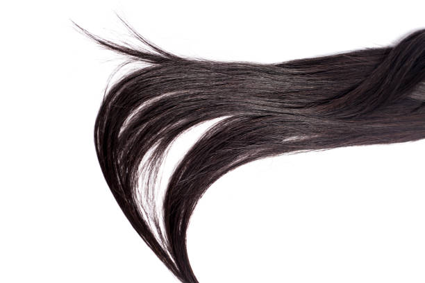 istock Black Hair Isolated on White 1145943798