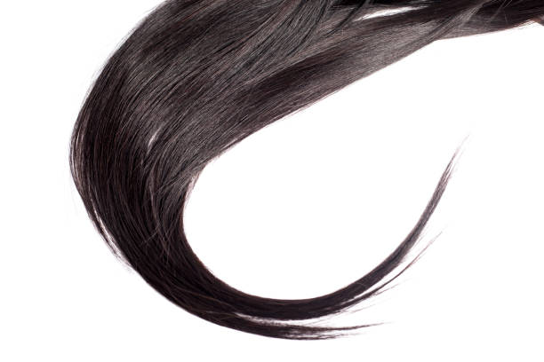 istock Black Hair Isolated on White 1145943829