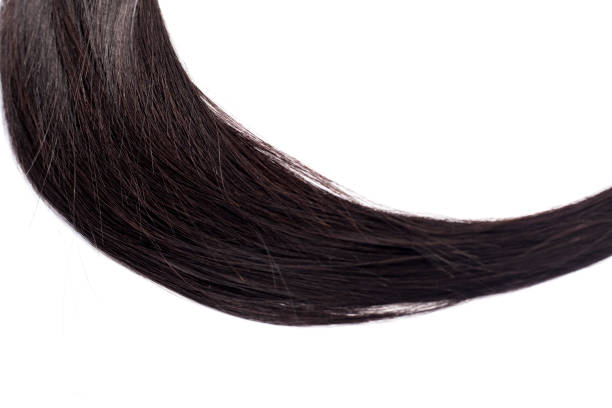 istock Black Hair Isolated on White 1145944342