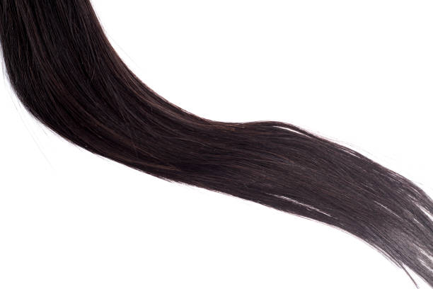 istock Black Hair Isolated on White 1145944419
