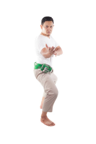 istock Pencak Silat, Indonesian Traditional Martial Art 1145946957