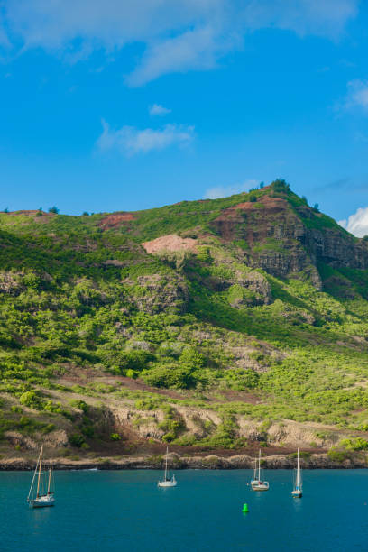 istock Maui island coast 1145947197