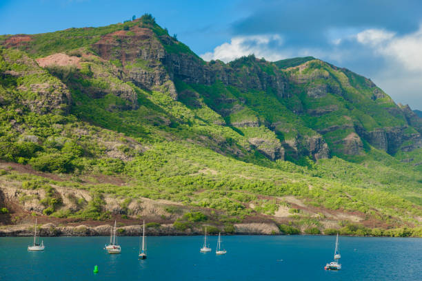 istock Maui island coast view 1145948854
