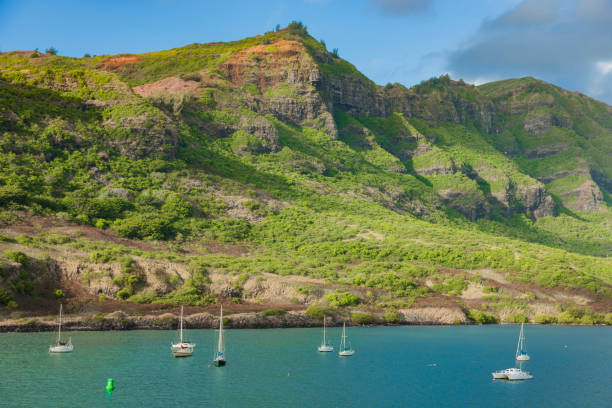 istock Maui island coast view 1145949796