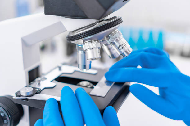 científico analizando el portaobjetos en laboratorio. el técnico de mujeres jóvenes está examinando una muestra histológica, una biopsia en el laboratorio de investigación del cáncer - laboratory healthcare and medicine cancer drug histology fotografías e imágenes de stock