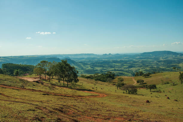 istock Meadows and trees in a green valley with hilly landscape 1145952600