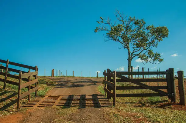 Photo of Farm gate with cattle guard and barbed wire fence