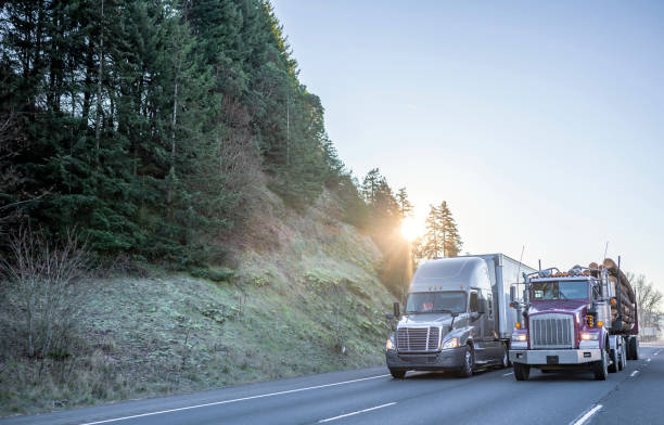 Two different big rig semi truck with different semi trailer running with cargo side by side on the wide multiline highway in sunshine
