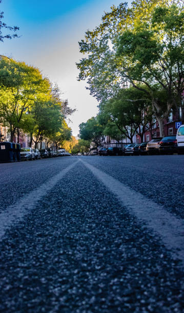 istock Scenic view in Lisbon streets. With beuatiful greenery. 1145954209