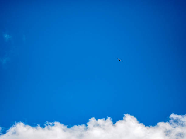 istock Bird Flying in the Blue Sky with Clouds in the Mountainous Area 1145956540